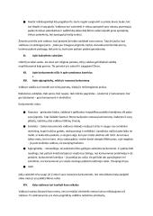 Makiavelio ,,Valdovas" analizė 14 puslapis