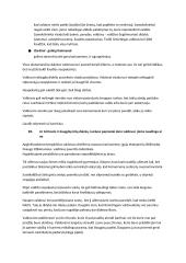 Makiavelio ,,Valdovas" analizė 17 puslapis