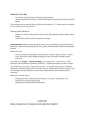 Makiavelio ,,Valdovas" analizė 3 puslapis