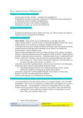 Makiavelio ,,Valdovas" analizė 4 puslapis
