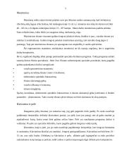 Kompiuterizuotos darbo vietos ergonominis įvertinimas bei tobulinimo galimybės 5 puslapis