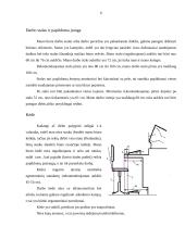 Kompiuterizuotos darbo vietos ergonominis įvertinimas bei tobulinimo galimybės 6 puslapis