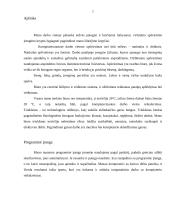 Kompiuterizuotos darbo vietos ergonominis įvertinimas bei tobulinimo galimybės 7 puslapis