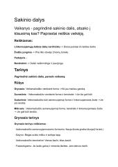 Lietuvių sakinio dalys