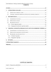 Veiksnių, lemiančių emigraciją iš Lietuvos, tyrimas 2 puslapis