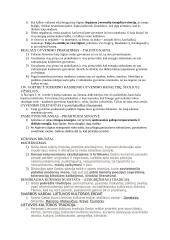 Sigito Gedos kūryba 2 puslapis