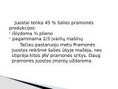 JAV pramonė 6 puslapis