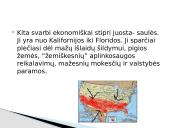 JAV pramonė 9 puslapis