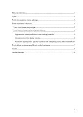 Kontrolės funkcija organizacijoje 2 puslapis