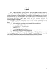 Kontrolės funkcija organizacijoje 4 puslapis