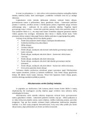 Kontrolės funkcija organizacijoje 6 puslapis