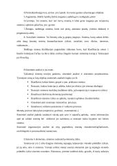 Vadybos istorija 2 puslapis