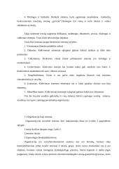 Vadybos istorija 4 puslapis