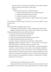 Vadybos istorija 6 puslapis