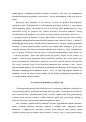 Korupcija, jos samprata. Kovos su korupcija būdai. Dovana. Kyšis 3 puslapis