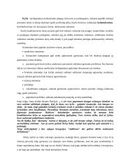 Korupcija, jos samprata. Kovos su korupcija būdai. Dovana. Kyšis 5 puslapis