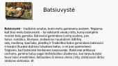 Batsiuvystės amatas 2 puslapis