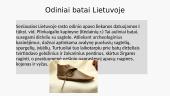 Batsiuvystės amatas 3 puslapis