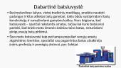 Batsiuvystės amatas 6 puslapis