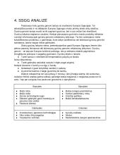 Transporto įmonės UAB „Paršelio kelionė“ kūrimas 8 puslapis