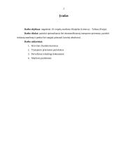 Krovinio vežimo organizavimas: maršrutas Klaipėda (Lietuva) – Talinas (Estija) 2 puslapis