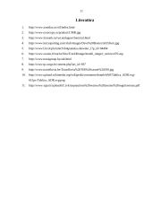 Krovinio vežimo organizavimas: maršrutas Klaipėda (Lietuva) – Talinas (Estija) 11 puslapis