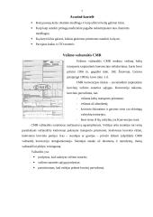 Krovinio vežimo organizavimas: maršrutas Klaipėda (Lietuva) – Talinas (Estija) 7 puslapis