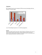 Kuro elementai 5 puslapis