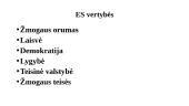 ES erdvė 6 puslapis