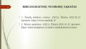 Šiaulių kultūros centro valdymo veiklos analizė 14 puslapis