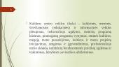 Šiaulių kultūros centro valdymo veiklos analizė 5 puslapis