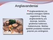 Sveikos mitybos patarimai 12 puslapis