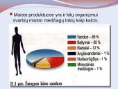 Sveikos mitybos patarimai 16 puslapis