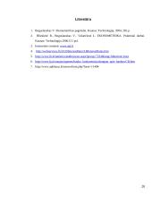 Lietuvos banko paskolų normos prognozavimas 19 puslapis