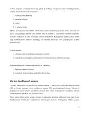 Lietuvos baudžiamoji teisė 1918-1940m. (pagrindinių teisės šaltinių ir institutų apibūdinimas) 5 puslapis