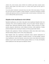 Lietuvos baudžiamoji teisė 1918-1940m. (pagrindinių teisės šaltinių ir institutų apibūdinimas) 6 puslapis