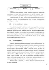Investicijų portfelio sudarymo ypatumai 7 puslapis