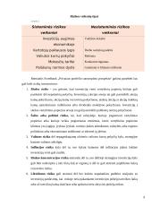 Investicijų portfelio sudarymo ypatumai 8 puslapis