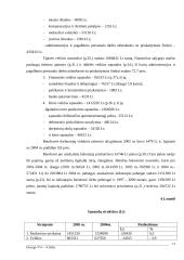 Šiuolaikinė bendrovės ūkinės veiklos analizė 13 puslapis