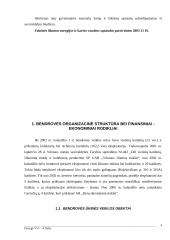 Šiuolaikinė bendrovės ūkinės veiklos analizė 4 puslapis