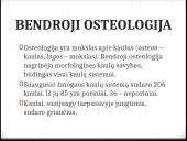 Bendroji osteologija