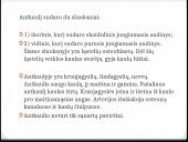 Bendroji osteologija 11 puslapis