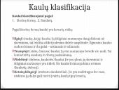 Bendroji osteologija 16 puslapis