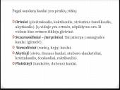 Bendroji osteologija 20 puslapis