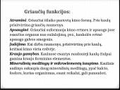 Bendroji osteologija 4 puslapis