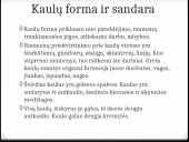 Bendroji osteologija 7 puslapis