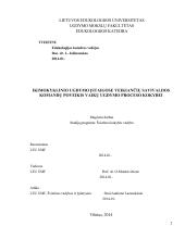 Ikimokyklinio ugdymo veikiančių komandų poveikis ugdymo proceso kokybei 2 puslapis