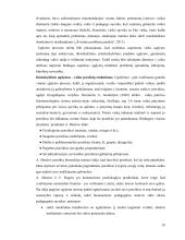 Ikimokyklinio ugdymo veikiančių komandų poveikis ugdymo proceso kokybei 18 puslapis