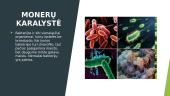 Penkios gyvosios gamtos karalystės (moneros, protistai, grybai, augalai, gyvūnai) 3 puslapis