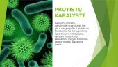 Penkios gyvosios gamtos karalystės (moneros, protistai, grybai, augalai, gyvūnai) 4 puslapis